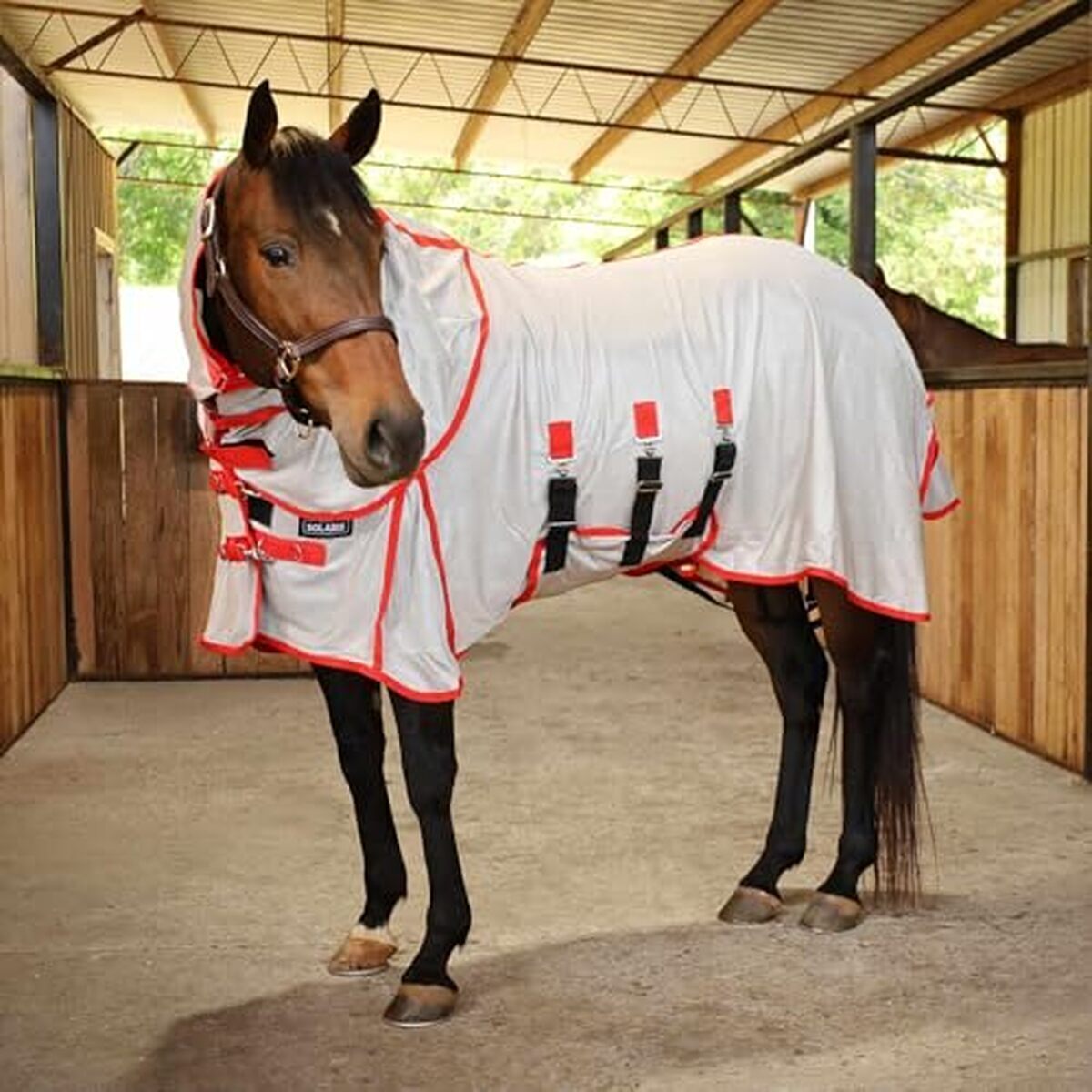 Test : jeffers Equine Solaris - drap anti-mouches avec cache-cou amovible
