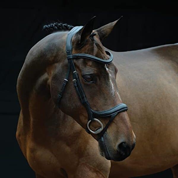 Découvrez notre test détaillé du bridon anatomique Collegiate Comfitec Vogue 2026 en noir : confort, qualité et performance pour votre cheval.