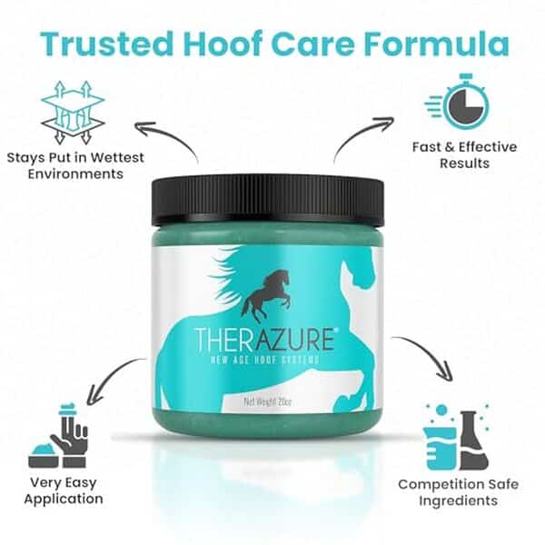 Découvrez notre test complet de therazure, le soin équin révolutionnaire contre les grives et la chaleur. Efficacité prouvée, conseils d'utilisation et avis d'experts pour la santé de vos chevaux.