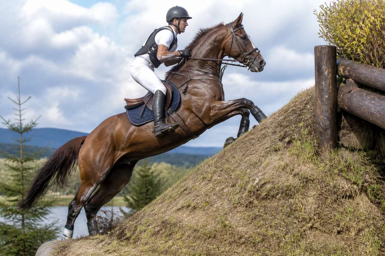 Les spécificités d'un obstacle de contre-haut Les spécificités d'un obstacle de contre-haut