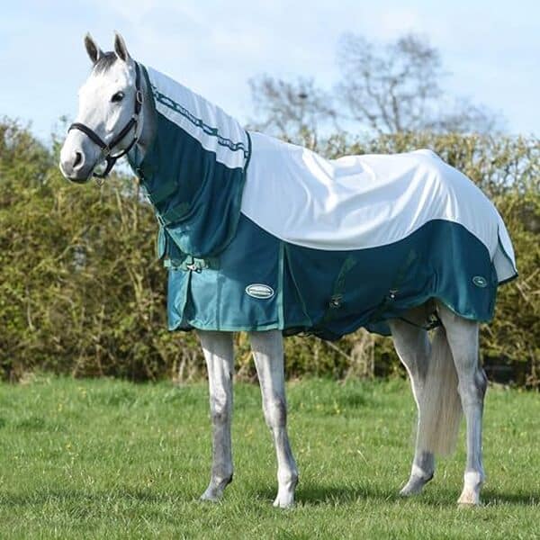 Découvrez notre test complet de la couverture anti-mouches Weatherbeeta Green-TEC 195 cm : protection efficace, qualité et prix pour votre cheval.