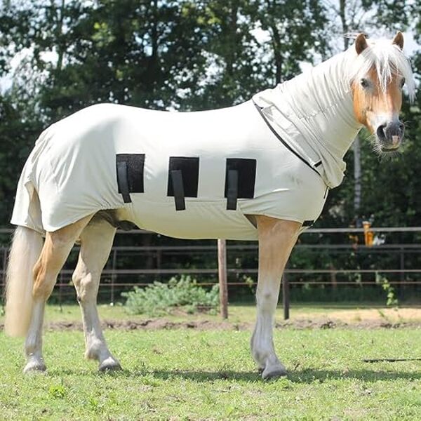 Découvrez notre test complet des Snuggy Hoods pour chevaux : une solution anti-mouches performante et confortable pour protéger votre animal pendant l'été. 