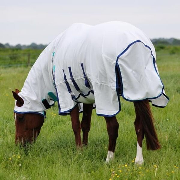 Découvrez notre test complet de la couverture anti-mouches Shires. Protection efficace contre les insectes, confort équin et durabilité : trouvez la solution idéale pour votre monture.
