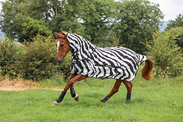 Découvrez notre test détaillé de la couverture anti-mouches Bucas Buzz-Off Zebra 125 cm : efficacité, confort et qualité pour protéger votre cheval des insectes. 