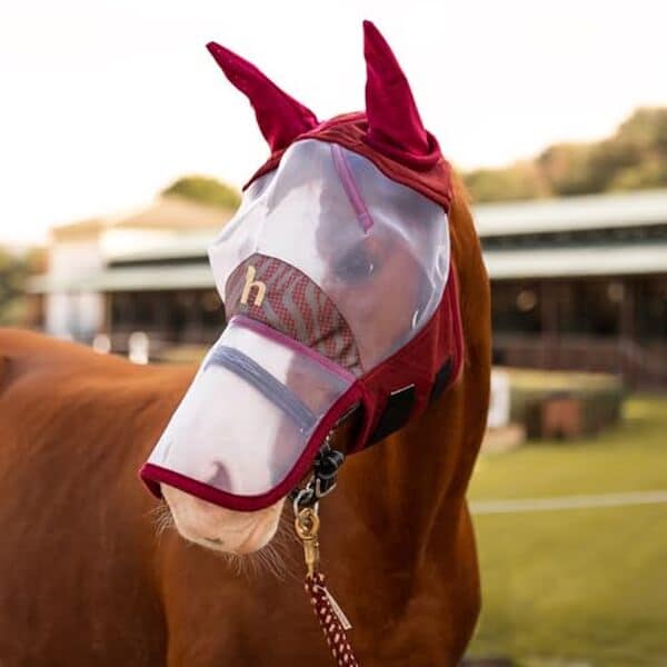 Découvrez le masque anti-mouches Horze Kenya : une solution fiable pour protéger votre cheval des insectes. Test complet, avis et caractéristiques du meilleur équipement équestre. 