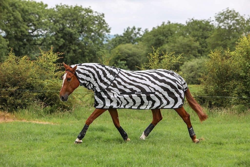 Test : bucas Buzz-Off Zebra couverture anti-mouches col intégral 125 cm