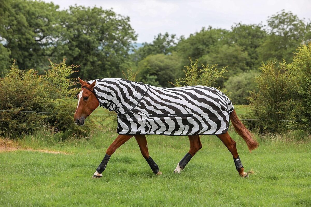 Test : bucas Buzz-Off Zebra couverture anti-mouches col intégral 125 cm