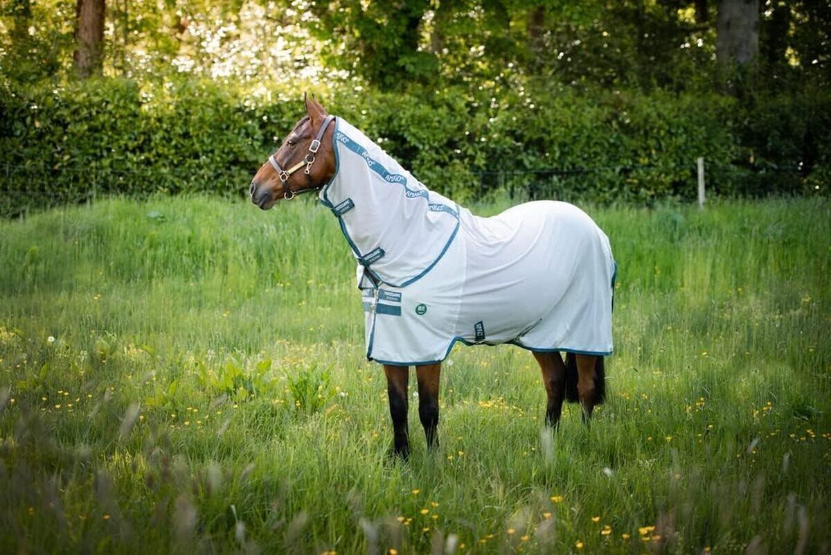 Test : chemise anti-mouche Amigo Bug Rug Eco de Horseware