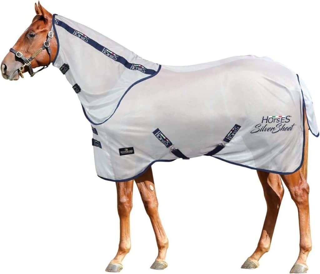 Test : couverture anti-mouches en filet Horses Silver Sheet 120 cm