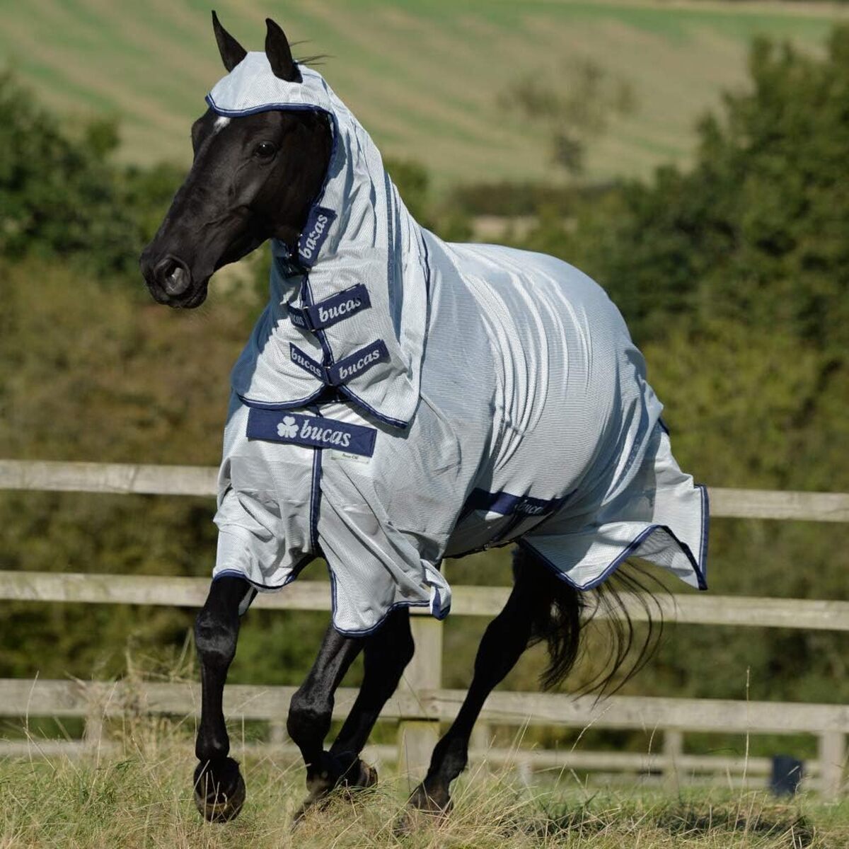 Test de la couverture anti-mouches Buzz-off X F/N 120 Silver