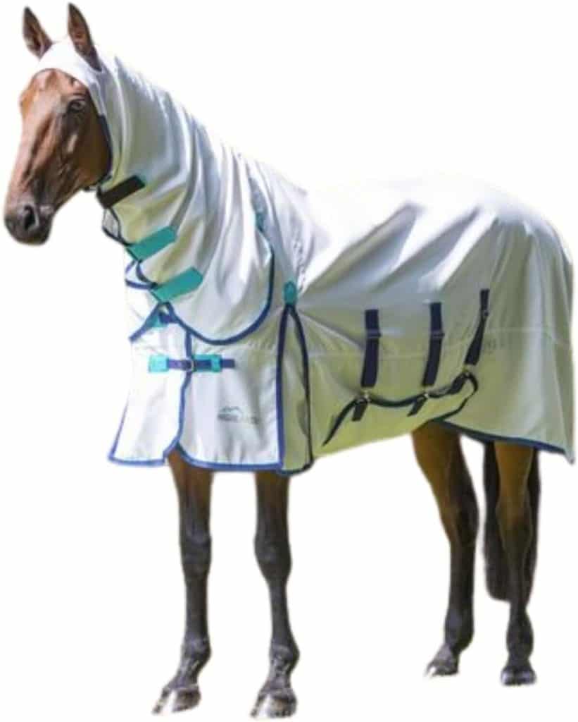 Test de la couverture anti-mouches Shires : protection équine efficace