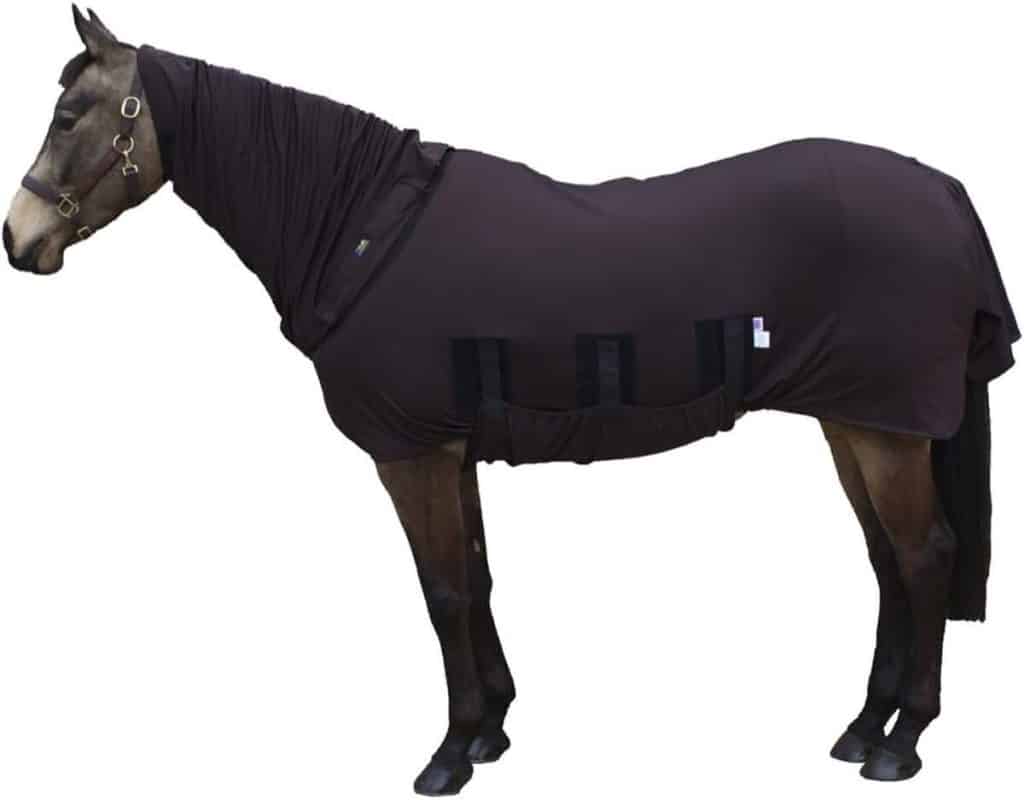 Test de la protection anti-mouches Snuggy Hoods pour cheval