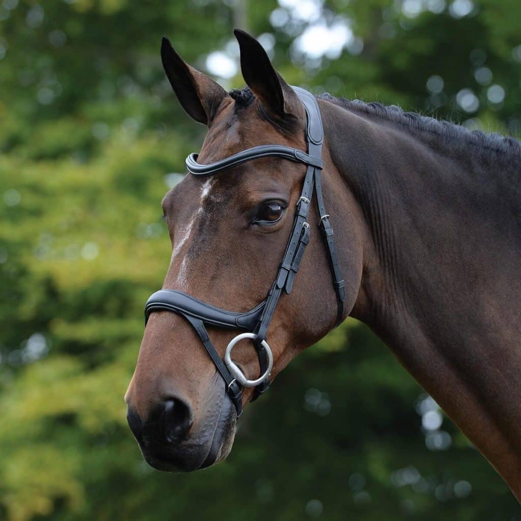 Test Du Bridon Anatomique Collegiate Comfitec Vogue 2026 - Noir