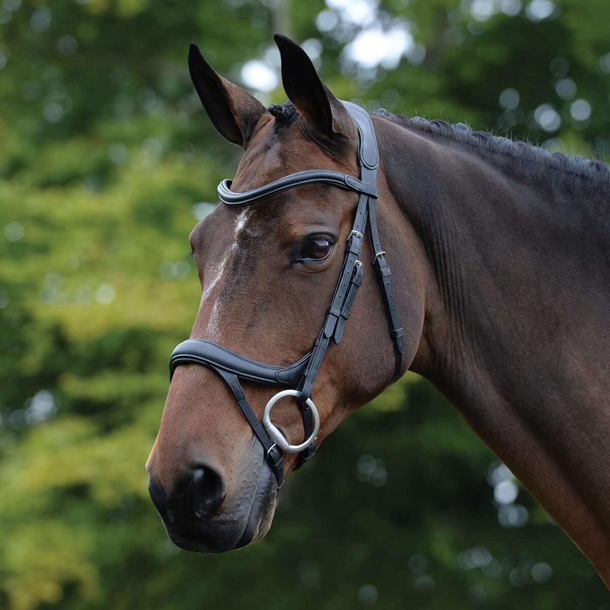 Test Du Bridon Anatomique Collegiate Comfitec Vogue 2026 - Noir