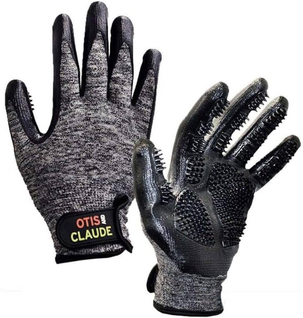 Test : gants de toilettage Otis & Claude pour animaux