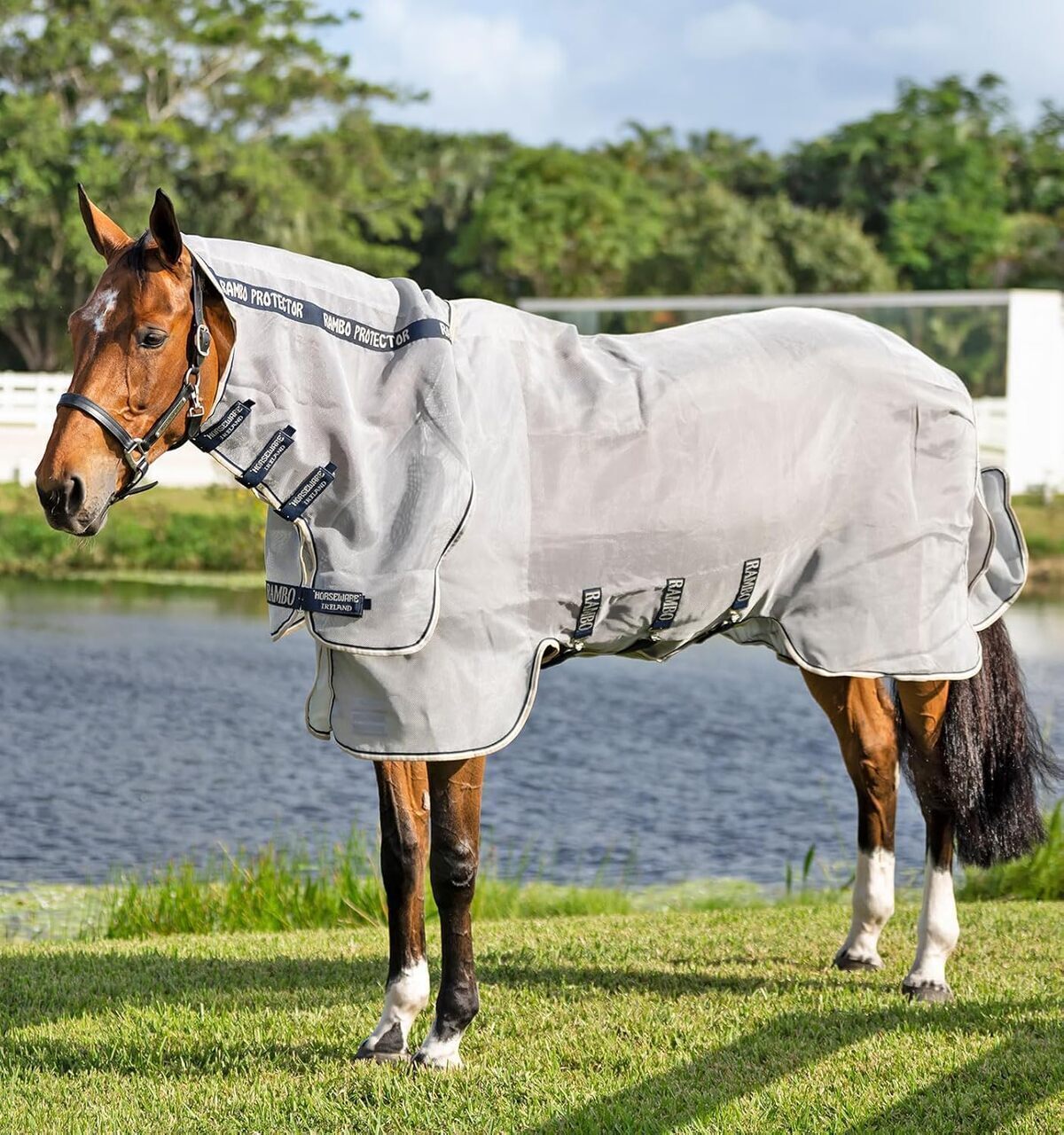 Test : rambo Protector Horseware Ireland, bâche anti-mouches efficace