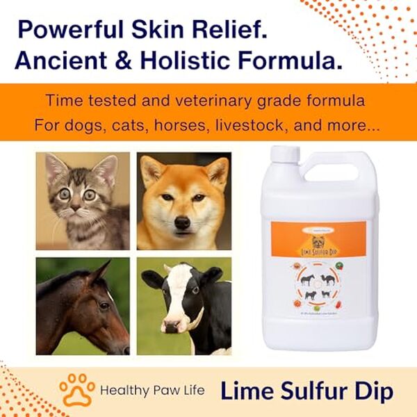 Découvrez notre test complet du lime soufre dip Healthy Paw Life pour animaux. Efficacité, avantages et recommandations pour la santé de votre animal. 