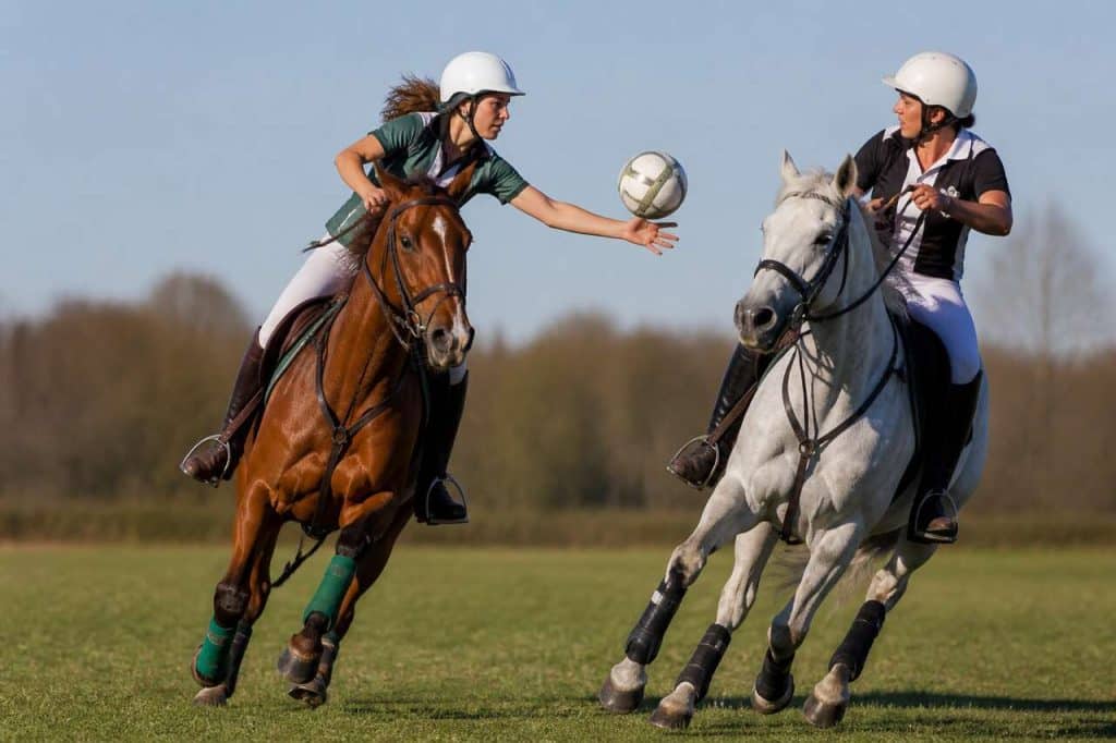 Horse Ball : le basketball à cheval