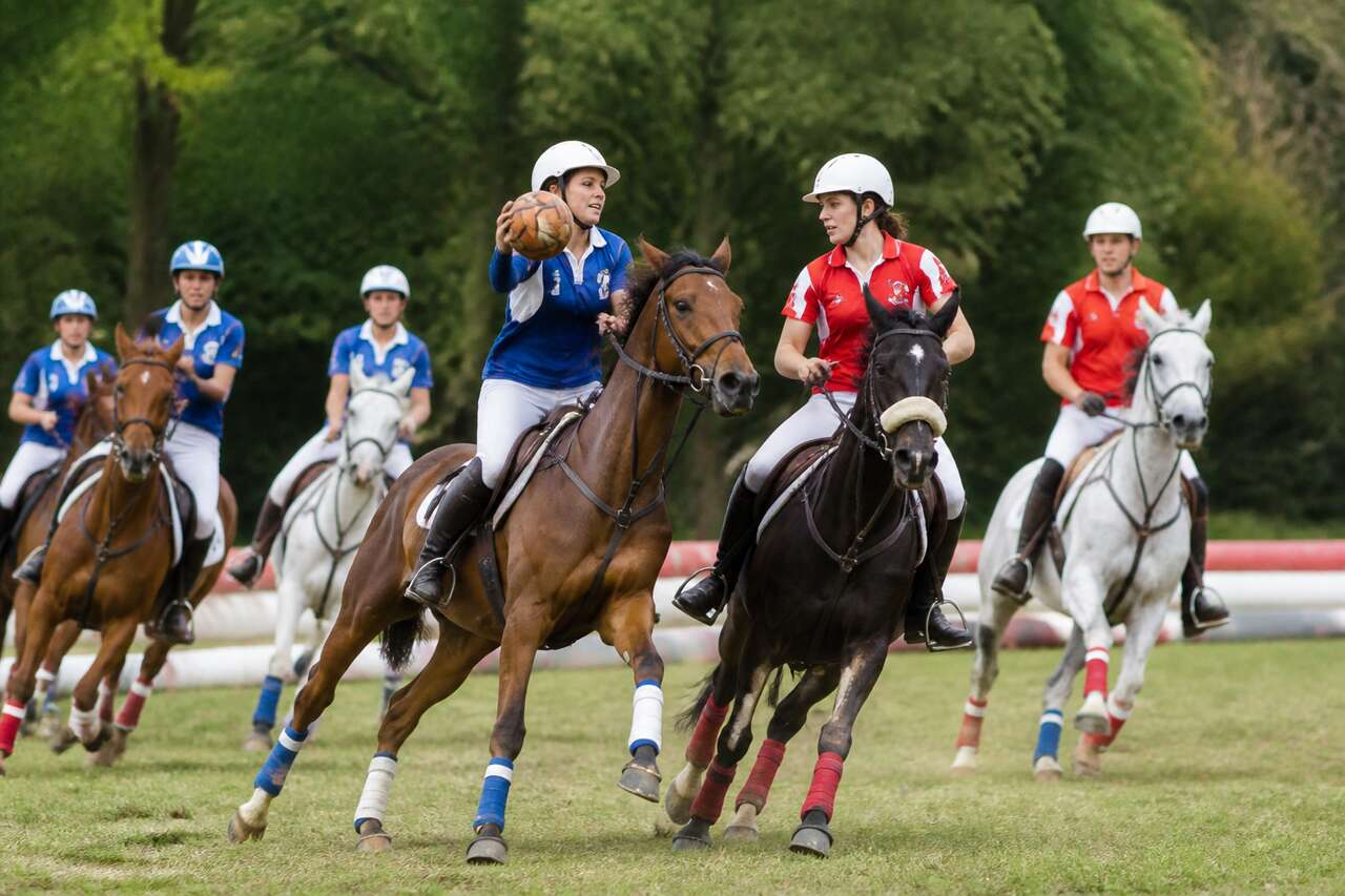 Horse-ball: d&eacute;finition et principe du &ldquo;basket &agrave; cheval&rdquo;