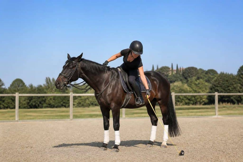 Comment mesurer la distance double à cheval ?