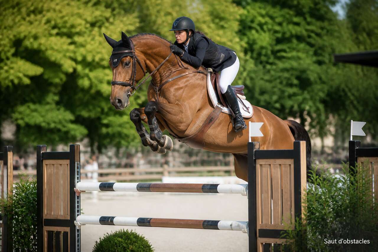 Saut d'Obstacles à Cheval : guide et Conseils