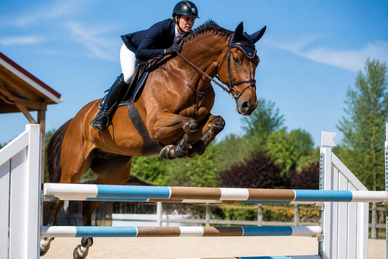 Saut d'obstacles: de quoi parle-t-on et quels risques r&eacute;els