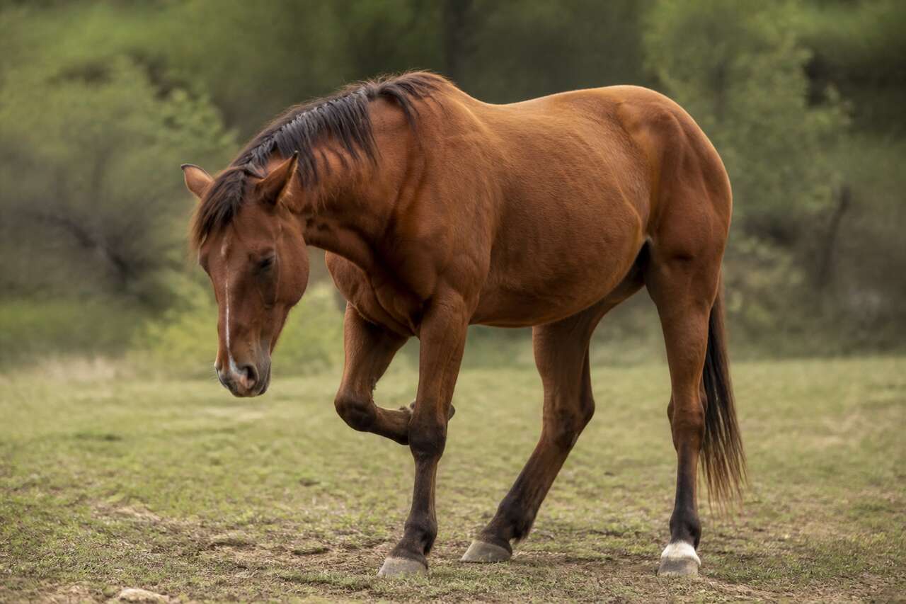 Crise d&rsquo;arthrose: sympt&ocirc;mes typiques et facteurs d&eacute;clenchants