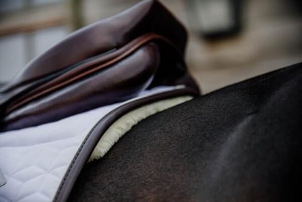 Découvrez notre test complet du tapis de selle laine vegan spécial saut d'obstacles : qualité, confort et performance pour votre cheval. 