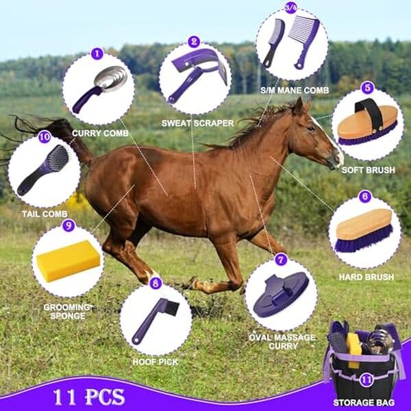 Découvrez notre test détaillé du kit de toilettage KUNBEIEN 11 pièces : accessoires essentiels, qualité et prix pour l'entretien optimal de votre cheval. 
