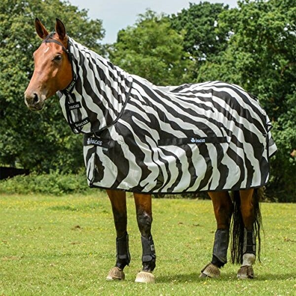 Découvrez notre test complet de la couverture anti-mouches zèbre Bucas Buzz-Off 145 cm : efficacité, confort et durabilité pour votre cheval.