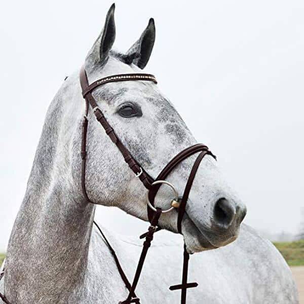 Découvrez notre test complet du bridon Horze Weston marron C : qualité, confort et performance pour votre cheval. Avis détaillé et conseils d'achat.