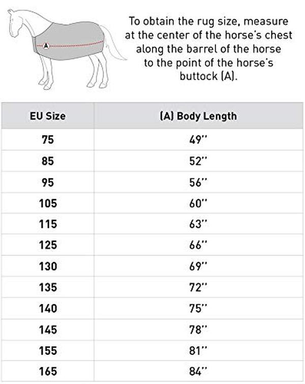 Découvrez notre test détaillé de la couverture imperméable Glasgow 100 g de Horze : performances, confort et durabilité pour votre cheval.