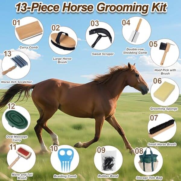 Découvrez notre test complet du kit de toilettage pour chevaux 13 pièces en bois. Soins respectueux, qualité naturelle et praticité pour l'entretien optimal de votre cheval.