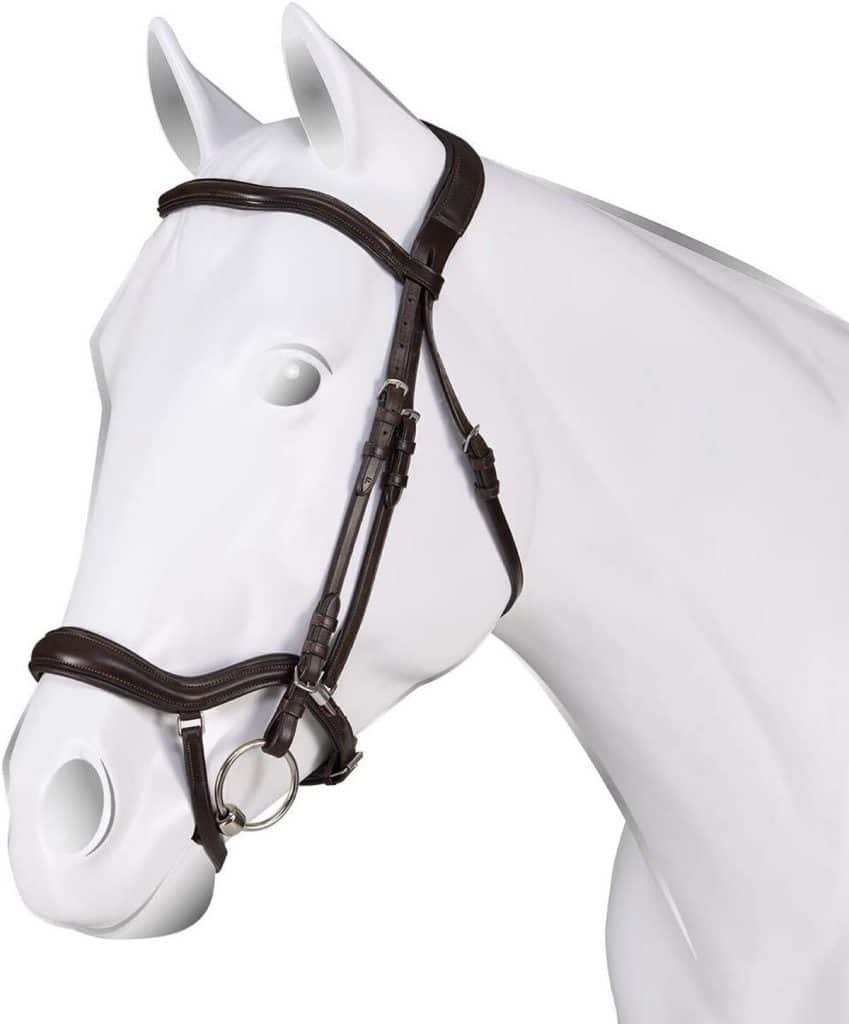 Test : bride de nez acavallo anatom ac9530 cob noir