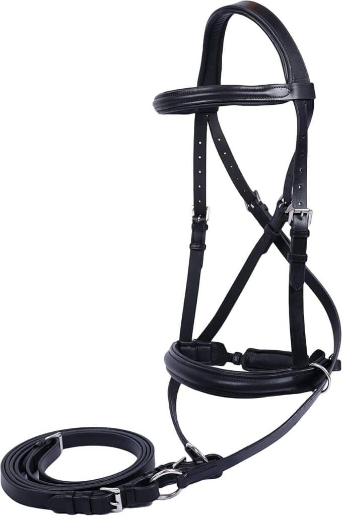 Test : bridons Wonder Care en cuir véritable