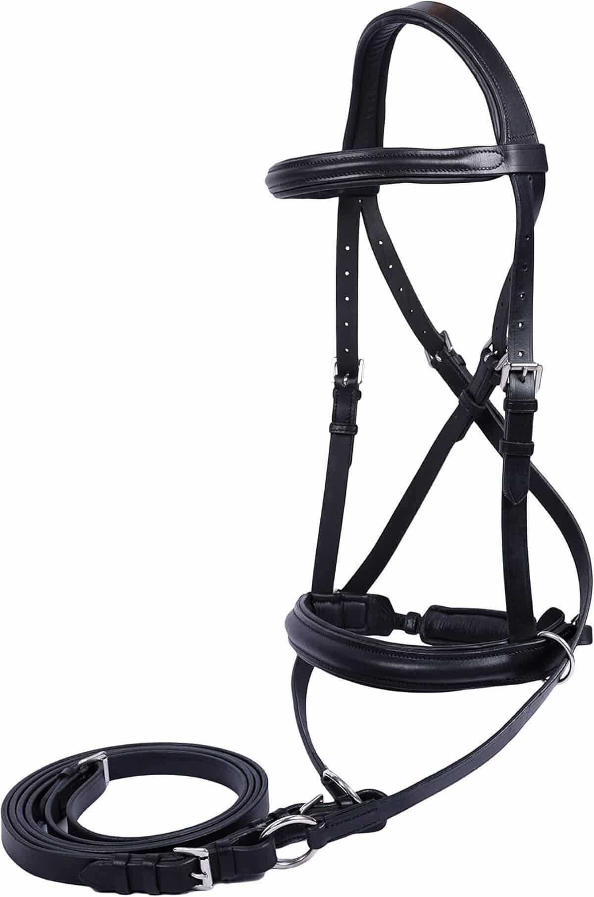 Test : bridons Wonder Care en cuir véritable