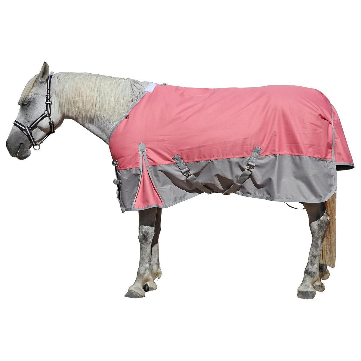 Test de la couverture Leberna 1200D pour cheval : imperméable et respirante