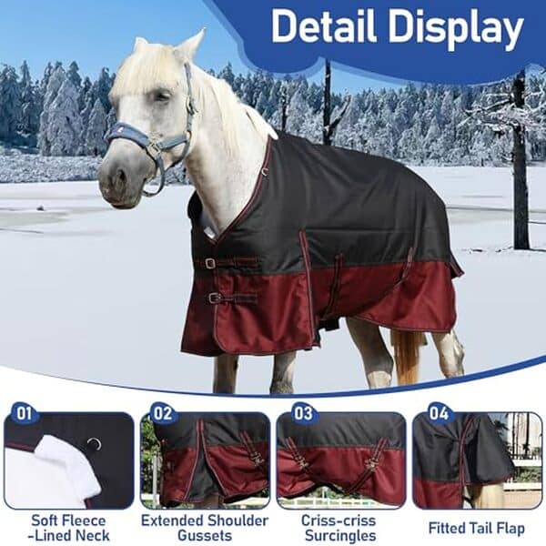 Découvrez notre test complet de la couverture d'extérieur Leberna 1200D : qualité, durabilité et protection optimale pour votre cheval.