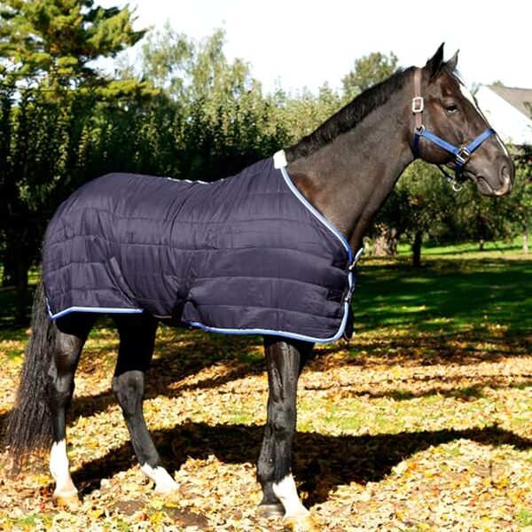 Découvrez notre test détaillé de la couverture d'écurie Horze Glasgow 100g. Qualité, confort et performance pour votre cheval : tous les détails.