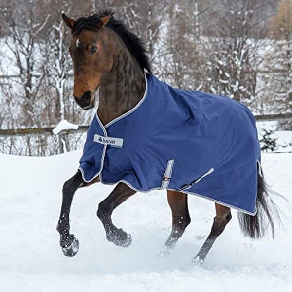Découvrez notre test détaillé de la couverture Bucas Freedom Turnout 135 g pour chevaux. Qualité, confort et durabilité : tous les détails pour bien choisir.