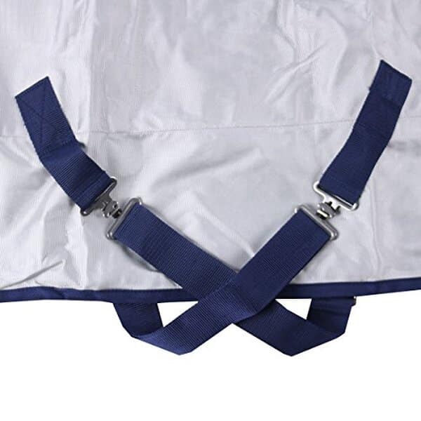 Découvrez notre test détaillé de la couverture Bucas power turnout 155 argentée 300 g : performances, confort et durabilité pour votre cheval.