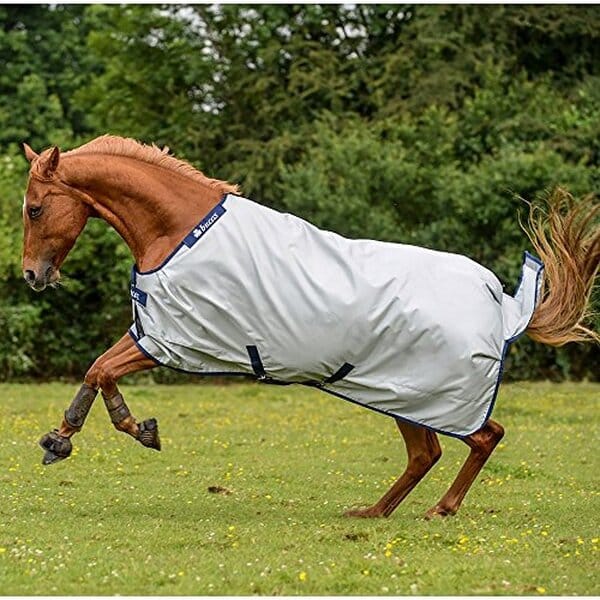 Découvrez notre test détaillé de la couverture Bucas PowerTurnout ultra-légère 155 cm : performances, qualité et avis d'expert pour chevaux.
