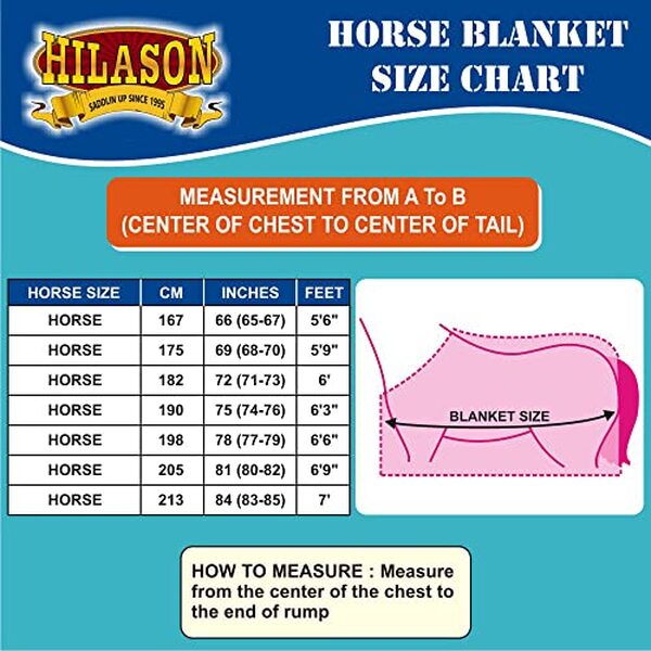 Découvrez notre avis complet sur la couverture imperméable Hilason 1200D : imperméabilité, confort et durabilité testés pour l'hiver de votre cheval.