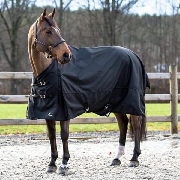 Découvrez notre test complet de la couverture de pluie Horze Nevada : une protection imperméable et légère pour votre cheval. Caractéristiques, avantages et avis d'experts. 