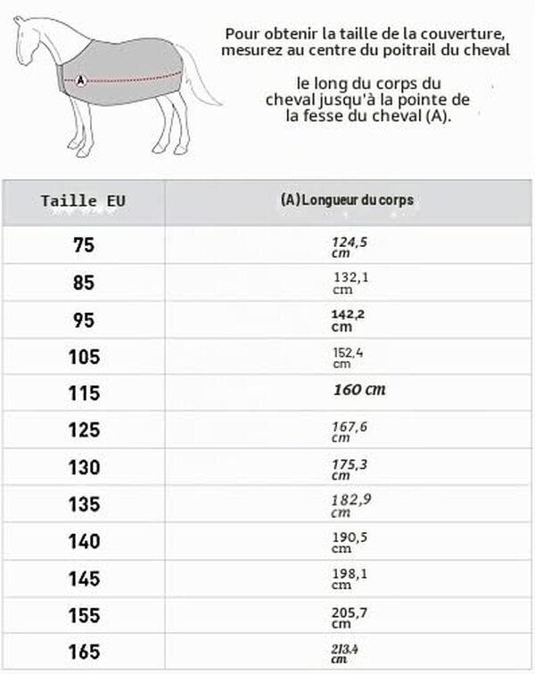 Découvrez notre test détaillé de la couverture d'hiver imperméable Horze Glasgow pour chevaux. Qualité, imperméabilité et confort analysés pour vous aider à bien choisir.