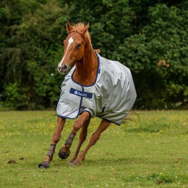Découvrez notre test complet de la couverture Bucas PowerTurnout Light Stay-Dry argenté 125 : qualité, résistance et confort pour votre cheval.