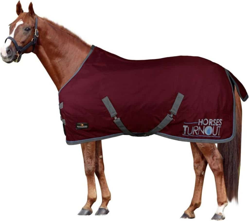 Test : couverture d'écurie imperméable Horses 200 g bordeaux