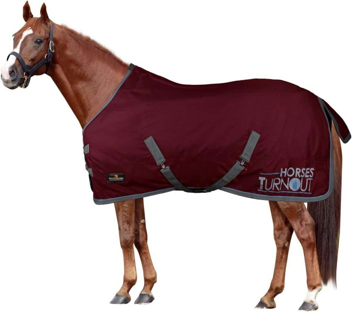 Test : couverture d'écurie imperméable Horses 200 g bordeaux