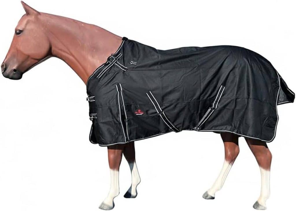 Test : couverture imperméable Hilason 1200D pour l'hiver