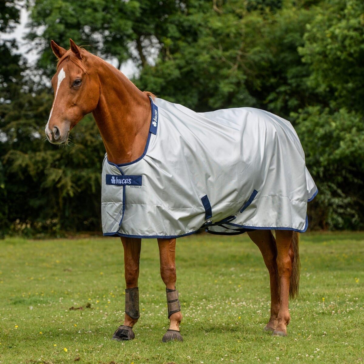 Test de la couverture Bucas PowerTurnout Light Stay-Dry argenté 125